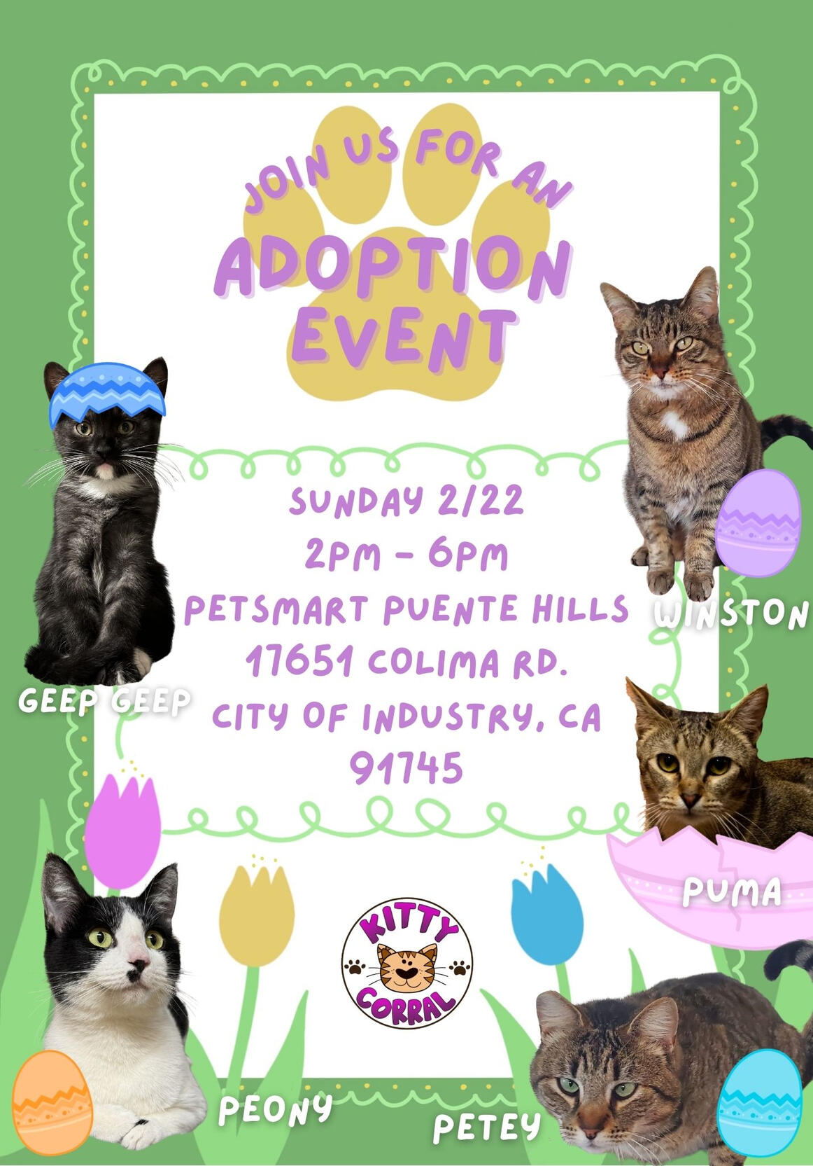 Adoption Event 2/22/26