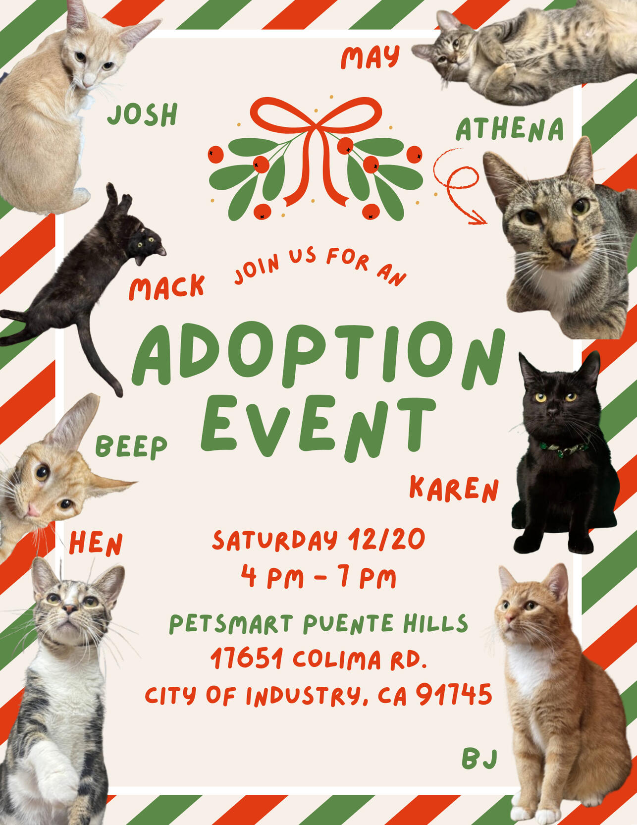 Adoption Event 12/20/25
