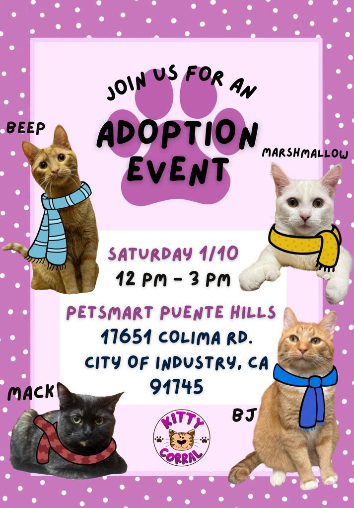 Adoption Event 1/10/26