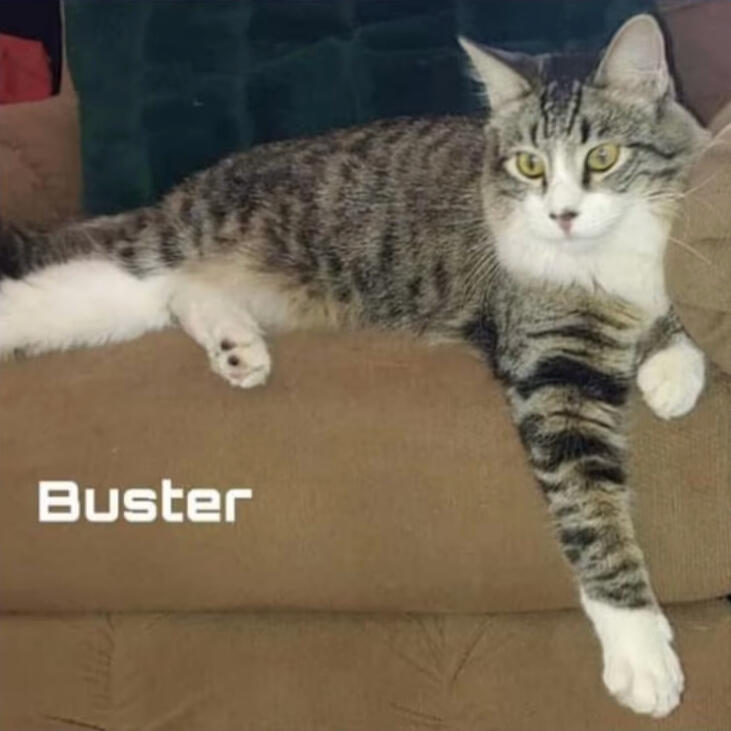 Buster