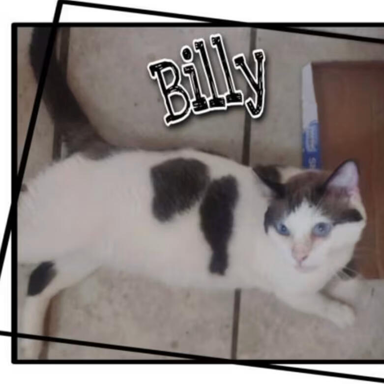 Billy